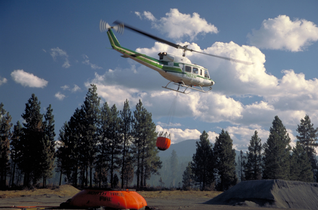 Erez Blog Bambi Bucket Wikipedia