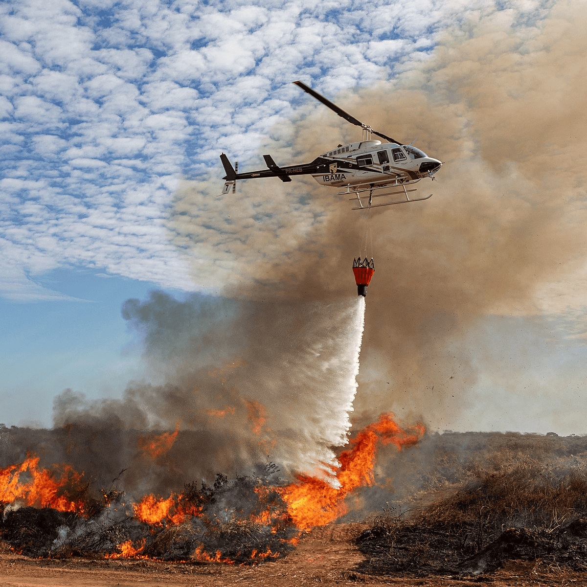 Firefighting Buckets: Erez's High-Performance TPU Solutions