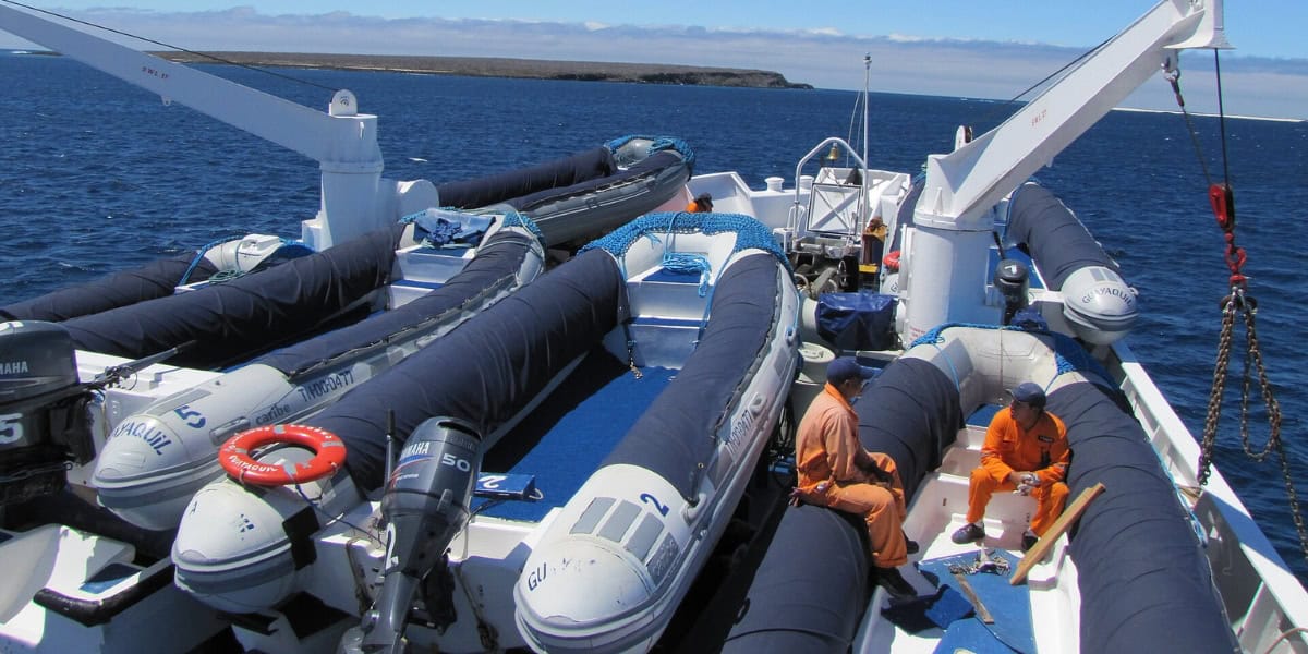 Aliphatic TPU for RIBS